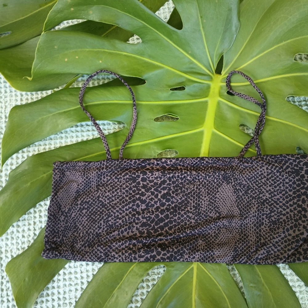 Acacia top